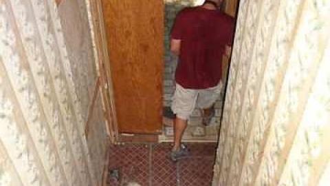 dairy cows or bull dozer - Deavitt-Farm6.jpg