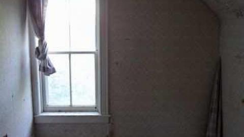 dairy cows or bull dozer - Deavitt-Farm21.jpg