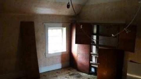 dairy cows or bull dozer - Deavitt-Farm8.jpg