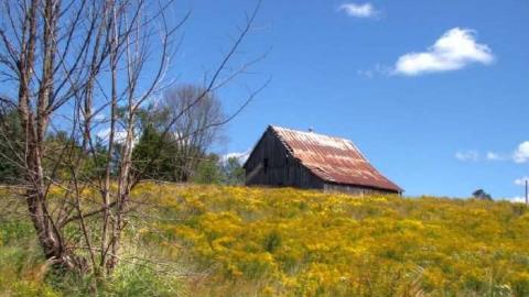 Enduring Barn - Barn-Baby-Barn2.jpg