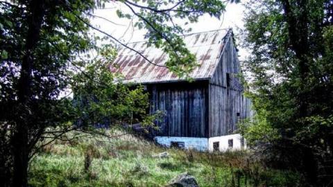 Enduring Barn - Barn-Baby-Barn19.jpg