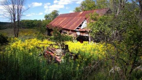 Enduring Barn - Barn-Baby-Barn4.jpg
