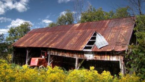 Barn Baby Barn photo 4