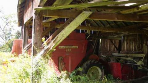 Barn Baby Barn photo 5