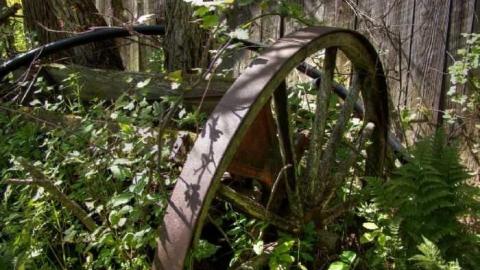 Enduring Barn - Barn-Baby-Barn21.jpg