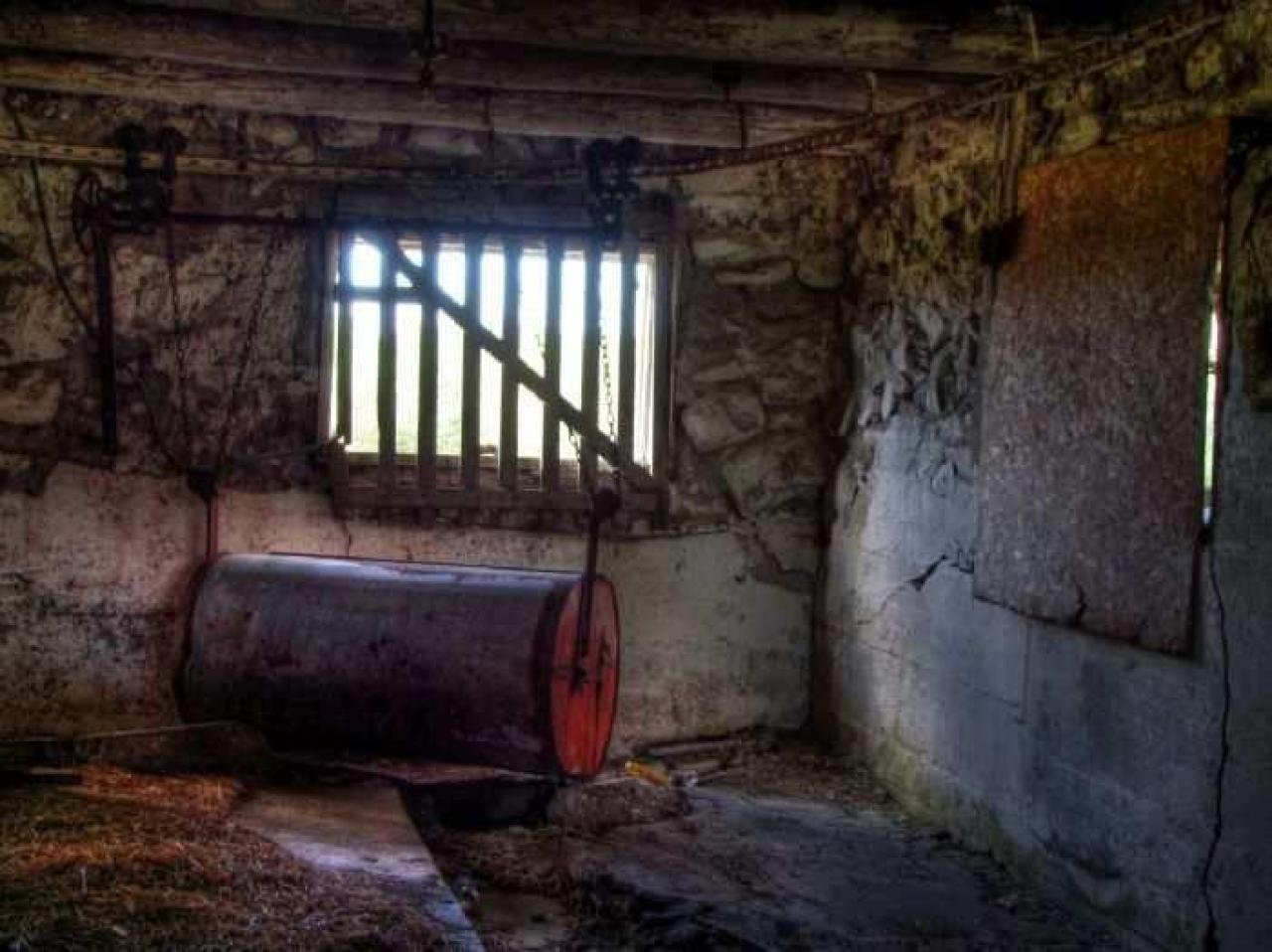 Enduring Barn - Barn-Baby-Barn25.jpg