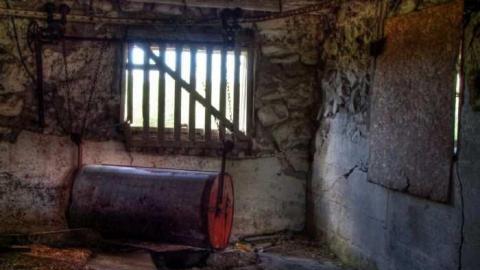 Barn Baby Barn photo 2