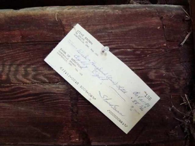 Barn Baby Barn - Huntsville, Ontario