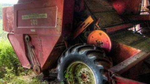 Enduring Barn - Barn-Baby-Barn12.jpg