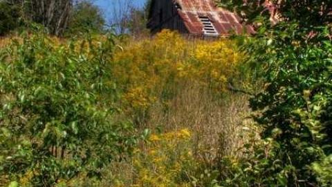 Enduring Barn - Barn-Baby-Barn13.jpg