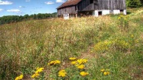 Enduring Barn - Barn-Baby-Barn16.jpg