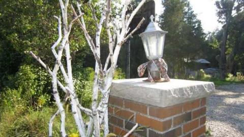 Photo from Left in a Hurry