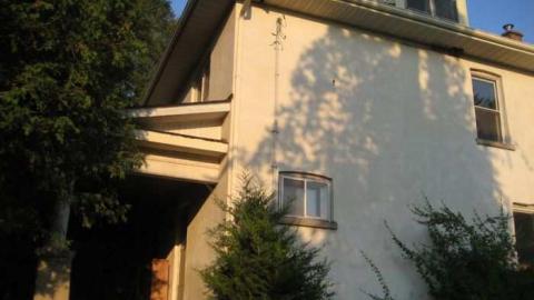 Hilly - IMG_6221.jpg