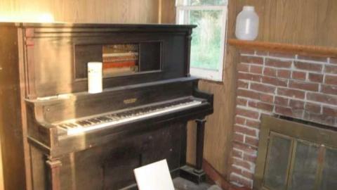 Hilly - IMG_6222.jpg