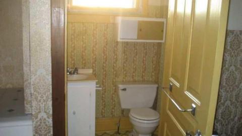 Hilly - IMG_6225.jpg