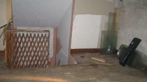 Hilly - IMG_6228.jpg