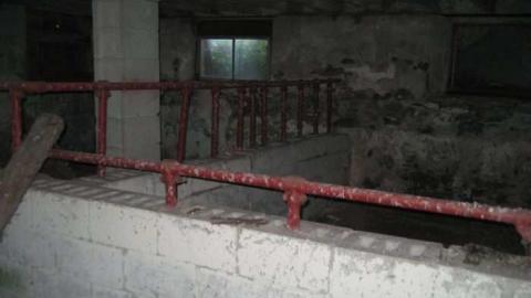 Hilly - IMG_6233.jpg