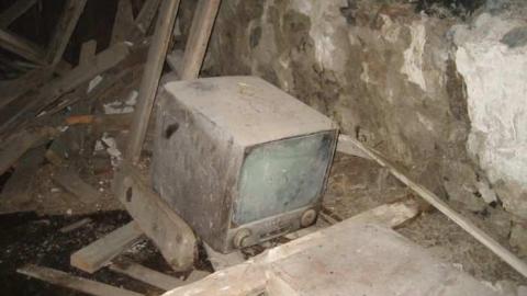 Hilly - IMG_6234.jpg