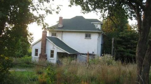 Hilly - IMG_6236.jpg