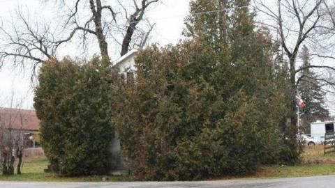 Gallery - Enfield-and-Potter-Cemetery3.jpg