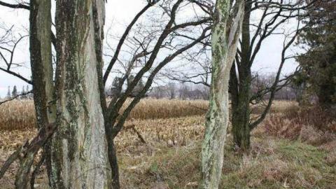 Gallery - Enfield-and-Potter-Cemetery6.jpg