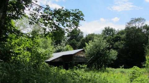 saw lake saw mill - Saw-Lake-Saw-Mill40.jpg