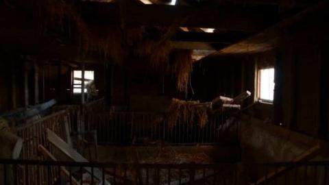 Mount Albert Heritage Home  - Deavitt-Farm17.jpg