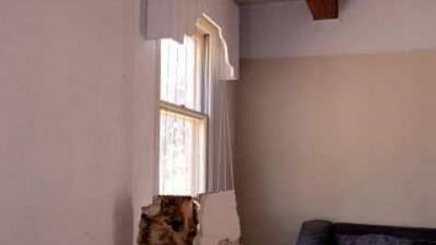 June 2012 - Neglected-Manor25.jpg