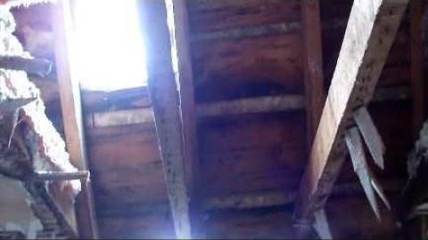 Summer 2012 - Tupperville-House19.jpg