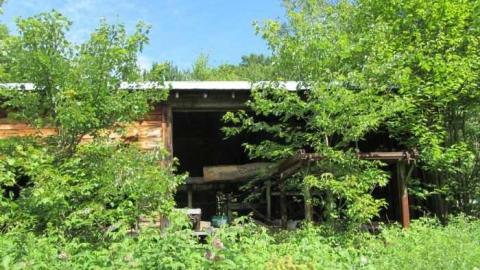 saw lake saw mill - Saw-Lake-Saw-Mill89.jpg