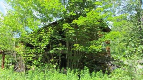 saw lake saw mill - Saw-Lake-Saw-Mill90.jpg