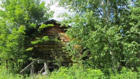 saw lake saw mill - Saw-Lake-Saw-Mill37.jpg