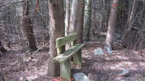 Scratched Out photo 2