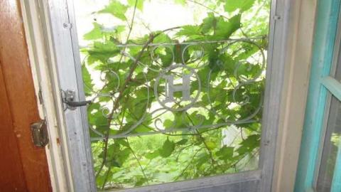 Scratched Out photo 4