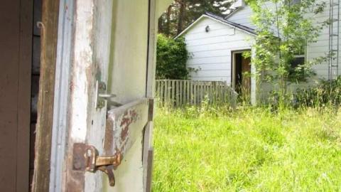 Scratched Out photo 5