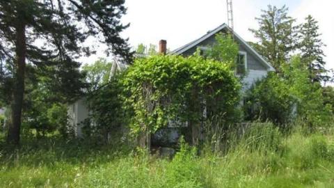 scratched out face - IMG_2133.jpg