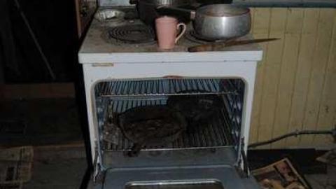 Sing us a Song - DSC_0326.jpg