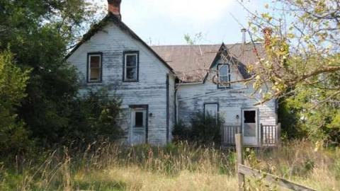 Sing us a Song - DSC_1060.jpg