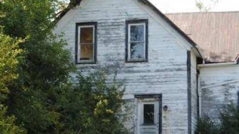 Sing us a Song - DSC_1064.jpg