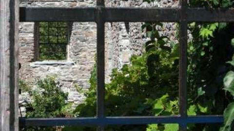 Lindsay Mill - Lindsay-Grist-Mill25.jpg