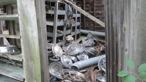 Photo from The Collection