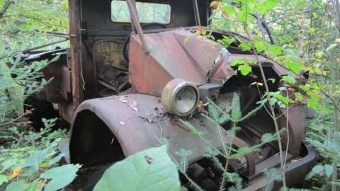 The Collection - Salvage-Yard8.jpg