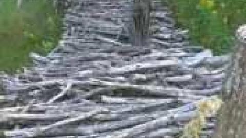 Big red empty - Picture 360.jpg