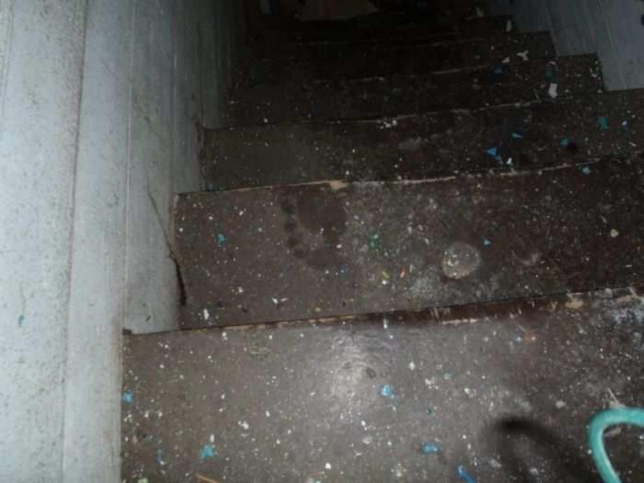 Basement - P8310119.jpg