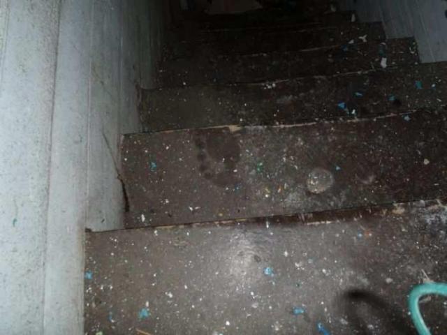 Basement - P8310119.jpg