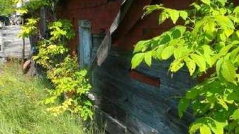 Photo from no service station