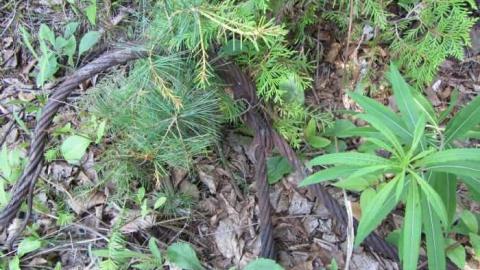 old mine area - Northern-Miners-Settlement4.jpg