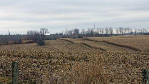 Gallery - Enfield-and-Potter-Cemetery7.jpg