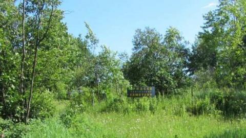 Spragge cemetery - Abandoned-Spragge-Cemetery1.jpg