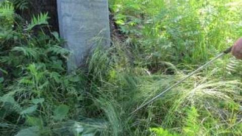 Photo from Spragge cemetery